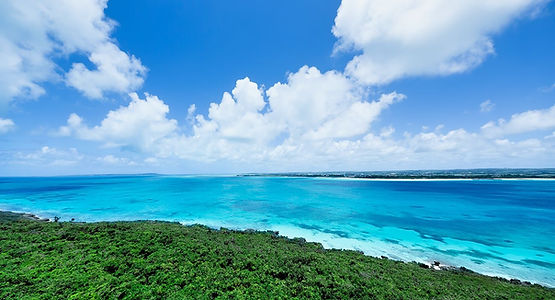 リリーレザーデザイン